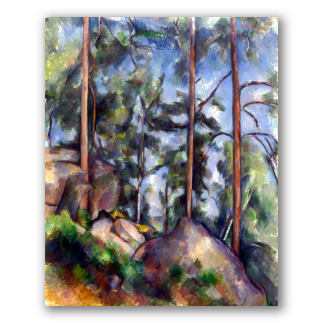 Pines and Rocks